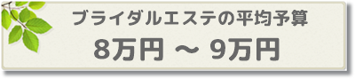 ブライダルエステ平均予算